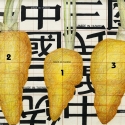 07-05N Ways of Understanding Carrot V
